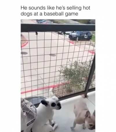 Why Does He Sound Like That? 🤣