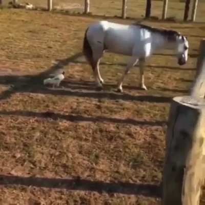 Бесст<wbr>рашны<wbr>й