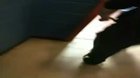 There was a locker room fight at school and someone filmed it on the IPhone 2