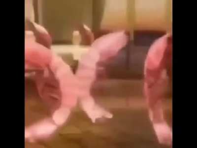 Cute anime dance
