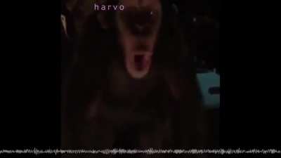 banana vibe