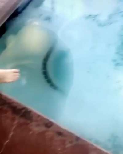 Magic cleaning toe
