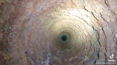 I watched this on the toilet and it was like watching a poop pov