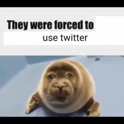 God have mercy on that poor seal😥😥🙏🙏
