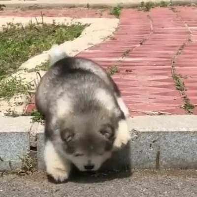 reverse broke, I need assistance.