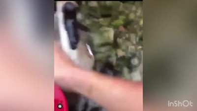 Self defense