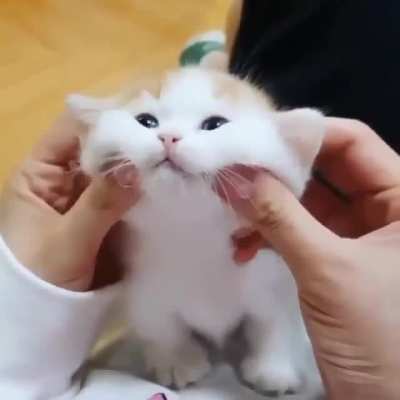 Squish rule