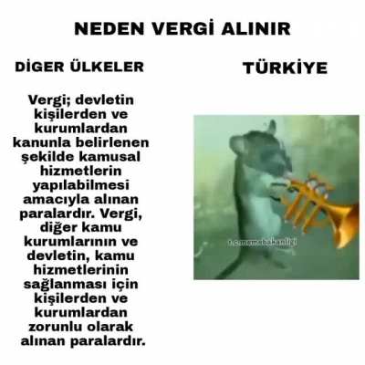 habibii