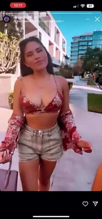 Daisy