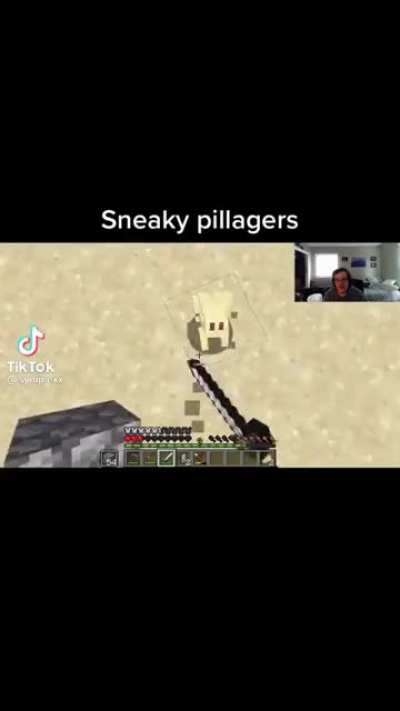 I hate pillagers