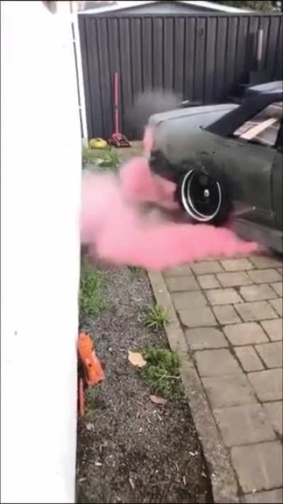 Gender reveal party almost burns down the backyard.