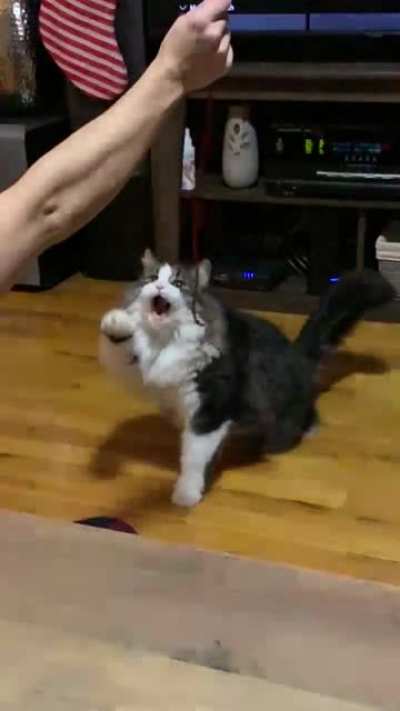So ferocious