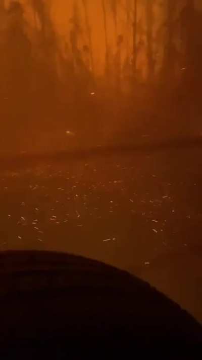 Forest fires in Chile