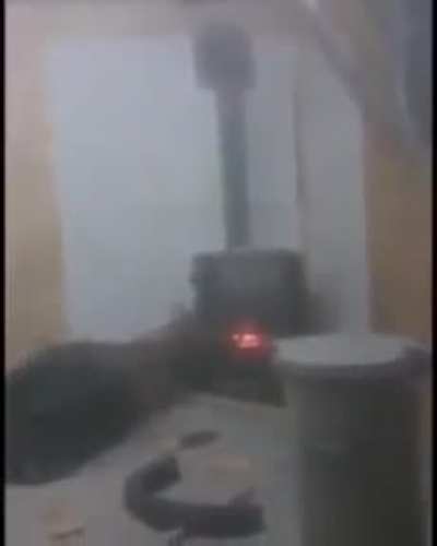 XD