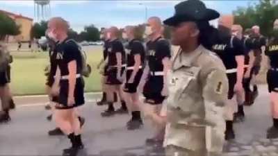 Хозяева выгуливают своих питомцев
