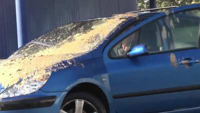 I would be fuming