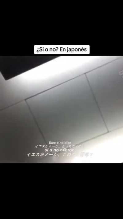Arte