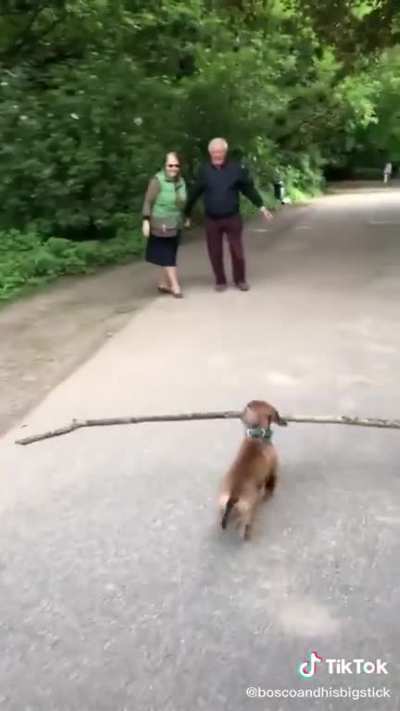 Woof irl
