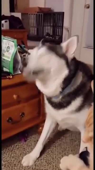 Будь!