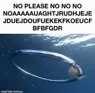 NO NO NO NO NO