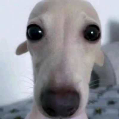O _ O
