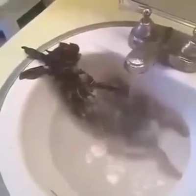 Unexpected