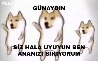 Günaydın