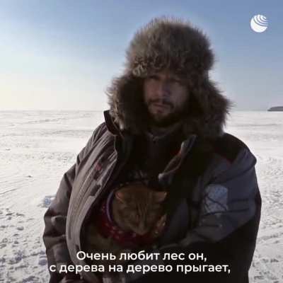 Кот рыболов в шапке ушанке ходит с хозяином на рыбалку.