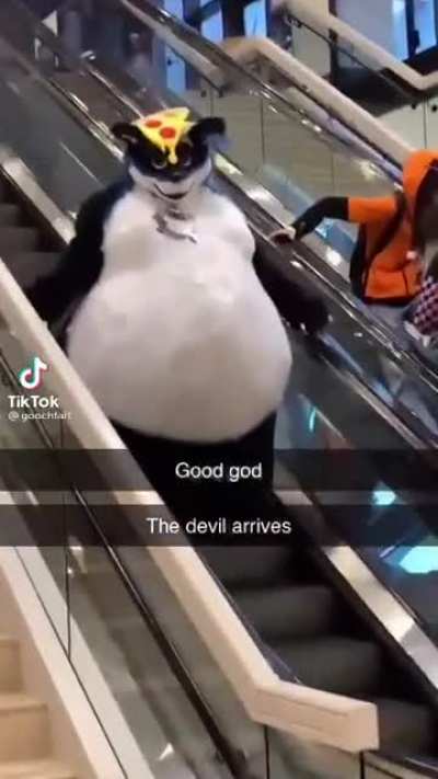 biggie cheese