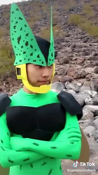 Unseen DBZ episode