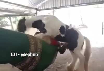 Wrong spot
