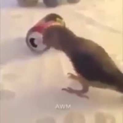 loro truco