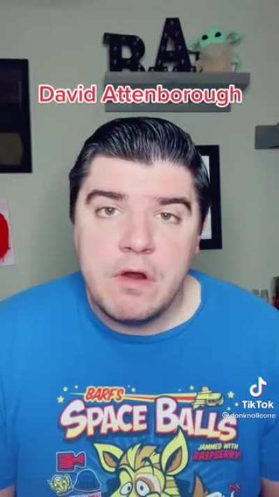 Top 10 Favourite Impressions
