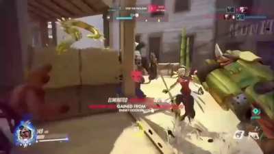 Old Hog Montage (console)