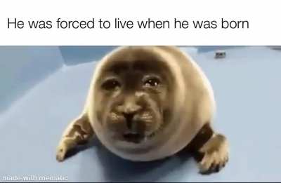 Sad 😔