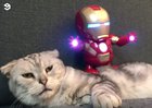 I hate you 3000 hooman.