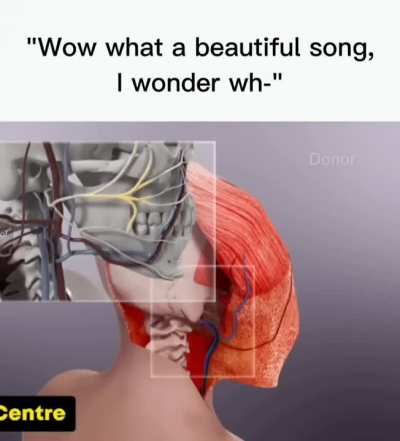 nice song tbh