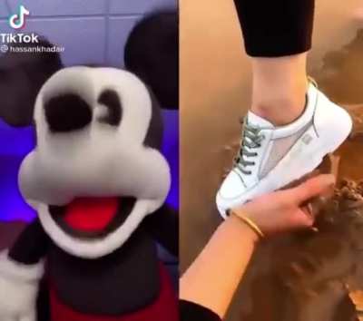 Mokey Moose reacts to human wearing a white shoe