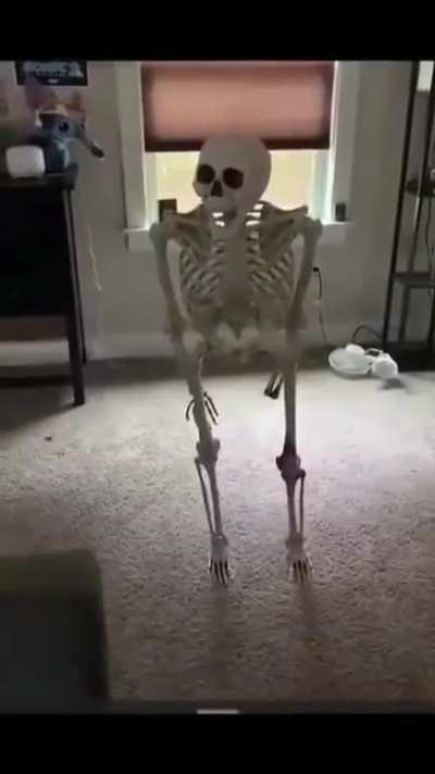 damm