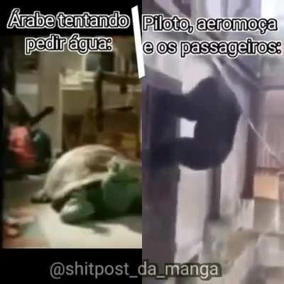 Meme aleatório #1