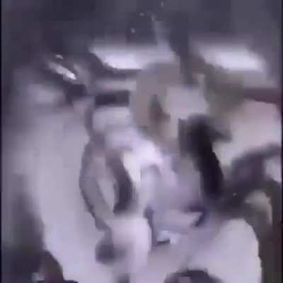 the eel does not like salt. they get mad. see their reaction to the salt
