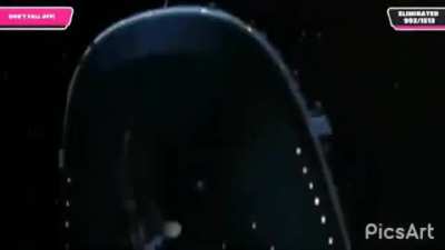 Momento Fall Guys