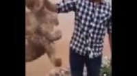 Cursed_Thing