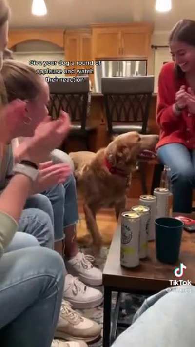 Doggo has a happy freakout after receiving a round of applause