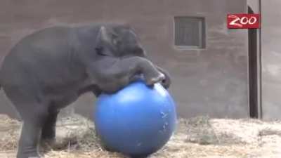 Having a ball.
