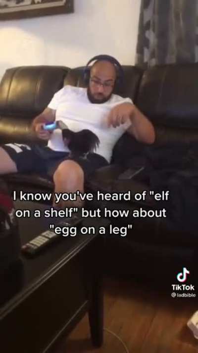Chicken lays an egg on the guy's lap