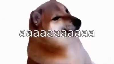 AAAAAAAAAAAA