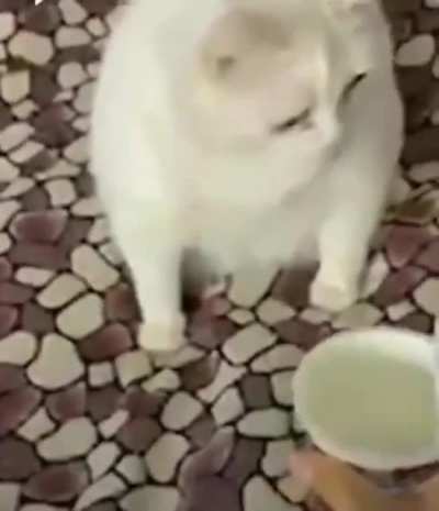 uuuuuuuuaaaaaaaa