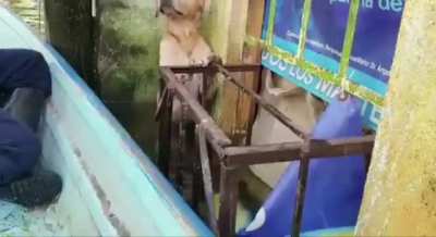 Secretaría de Marina siempre heroica.