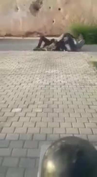 Slapping a dog in the face with a tree branch
